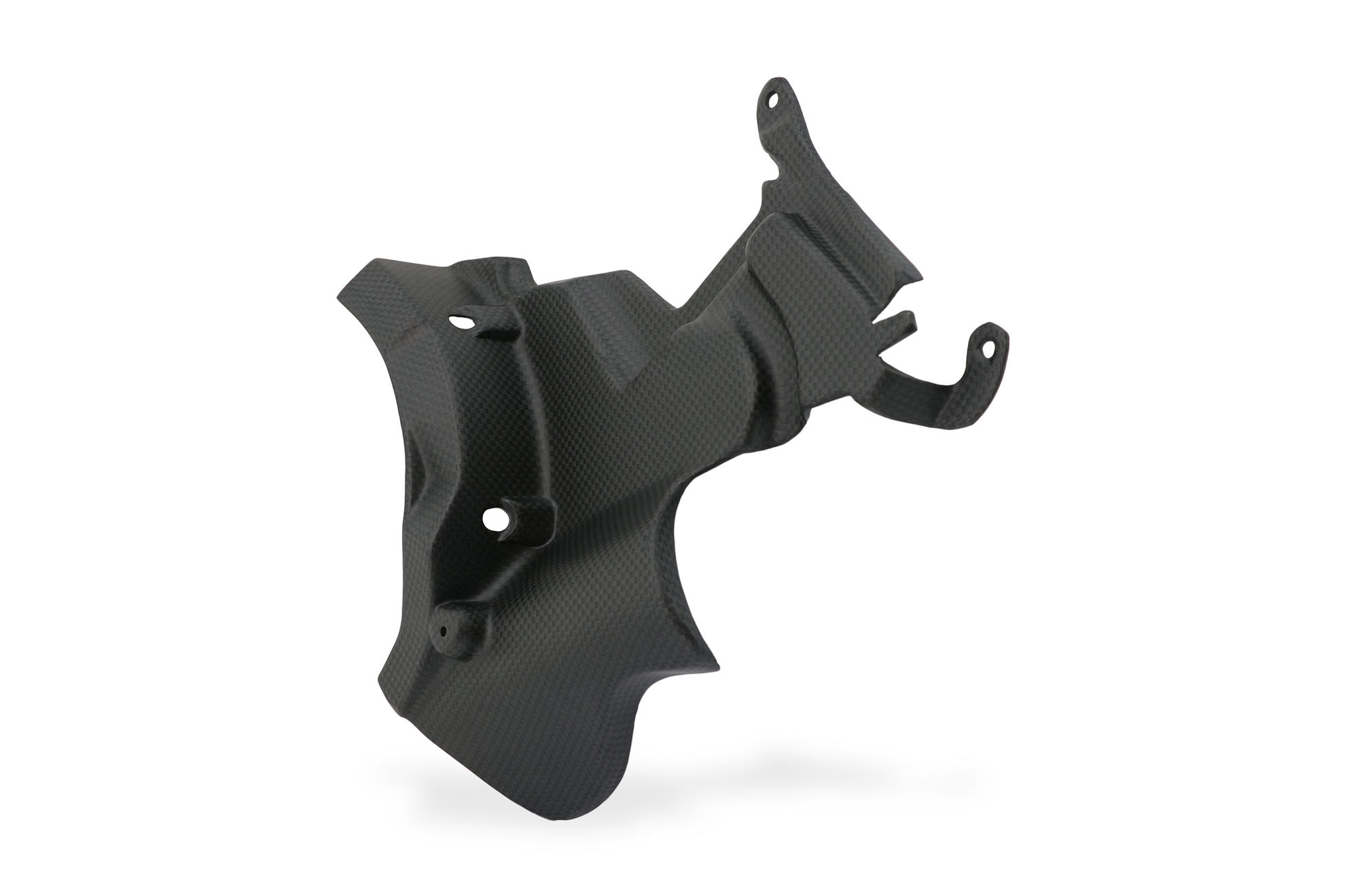 ducati streetfighter v4 clear clutch cover