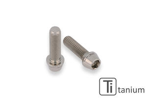 Rear Hub Swingarm Pinch Bolt (2 pcs) - TITANIUM CNC Racing