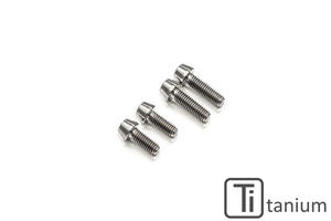 Clutch or brake controls clamp screw kit Ducati Multistrada (4 pcs) - Titanium CNC Racing