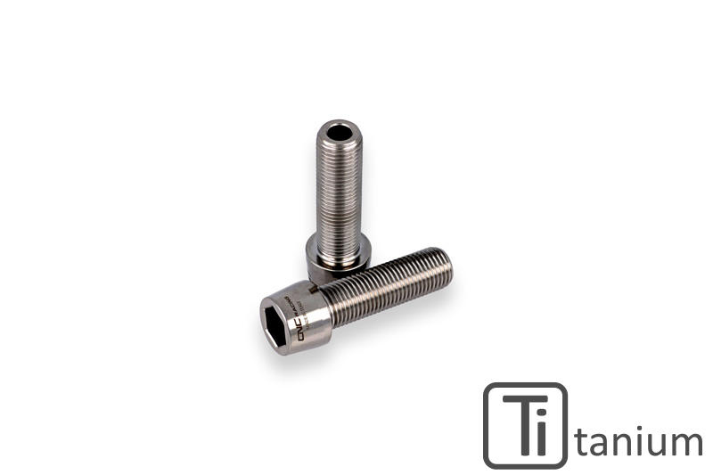 Rear Hub Swingarm Pinch Bolt (2 pcs) - TITANIUM