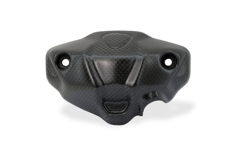 Instrument panel cover Ducati Monster 937 - Carbon