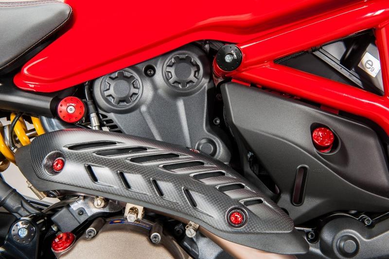 Protezione collettore in carbonio Ducati Monster 821 1200