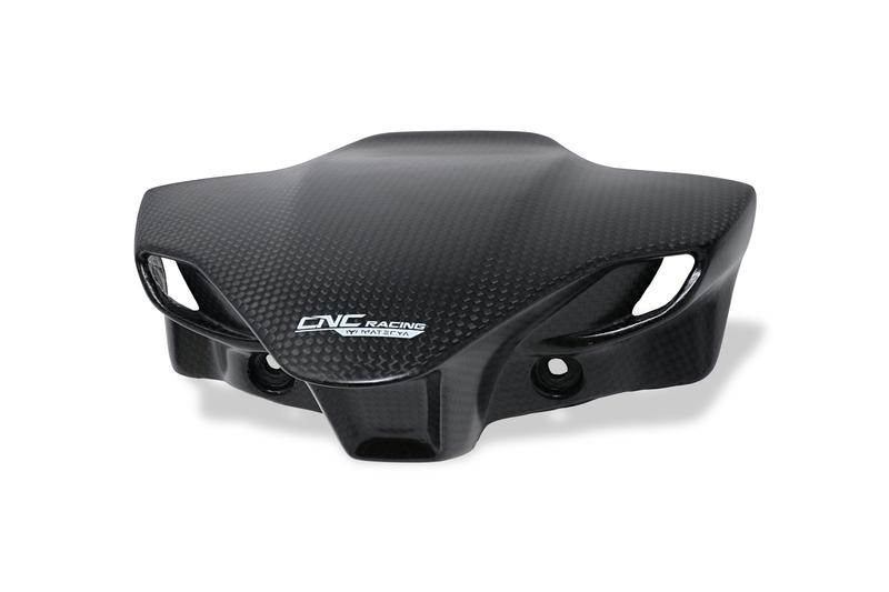 Sport screen Ducati Streetfighter V4 - carbon