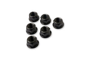Nuts sets rear sprocket flange Ducati M10x1.0 <p>Nero</p>