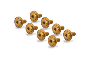 Front mudguard screw kit MV Agusta Dragster Gold