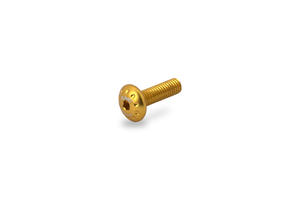Screw kit - Front brake fluid tank Aprilia RS660 Gold