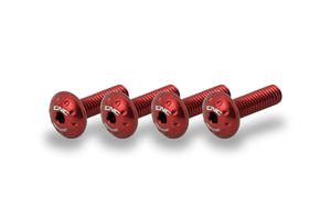 Screw set - Undertail Ducati Streetfighter V4 - V2 <p>Rosso</p>