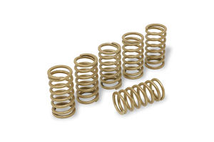 Clutch springs H40 Gold