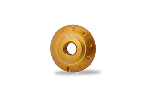 Cover shock absorber tank rear Ducati Gold