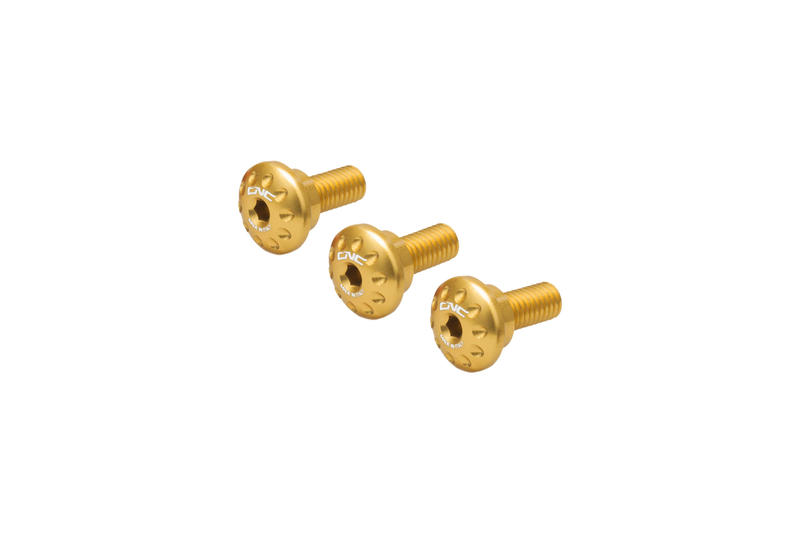 Kit viti parafango posteriore Gold