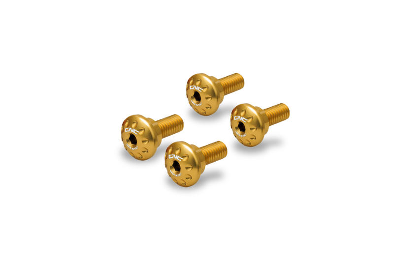 Undertail cover screw kit MV Agusta Gold