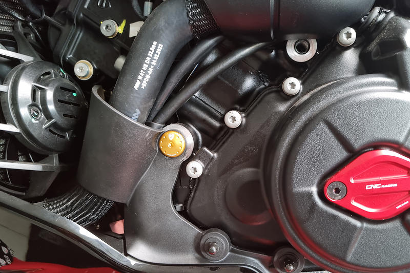 Vite supporto puntale sinistro Ducati Diavel V4 Gold
