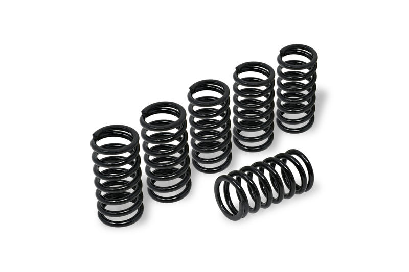 Clutch springs H38 Black
