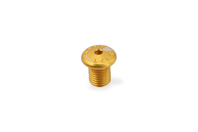 Mirror Blanking Plug M10 - Thread RH Gold